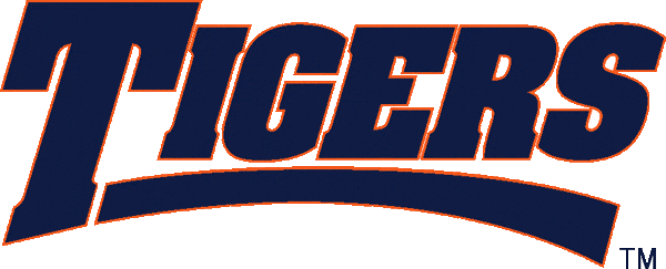 Auburn Tigers 1998-2005 Wordmark Logo custom vinyl decal